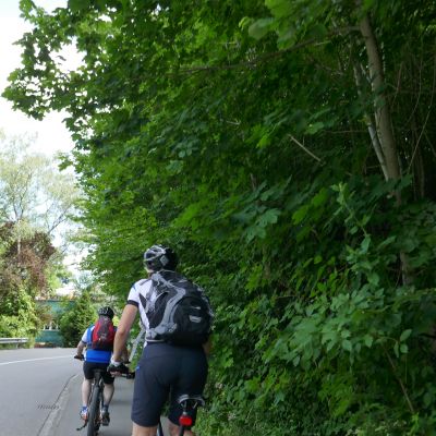 008 Aufstieg Lochstrasse